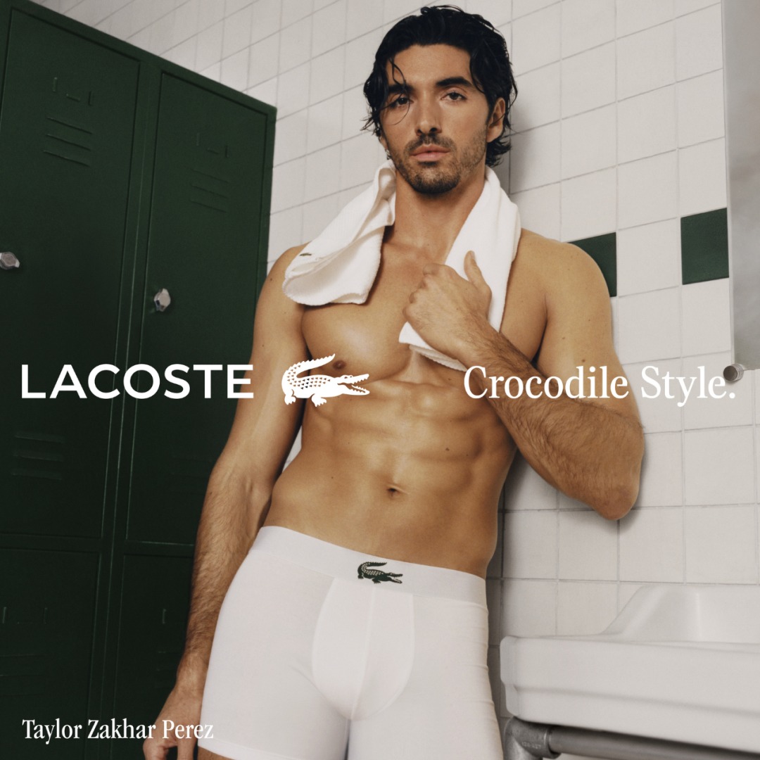 Style crocodile icon